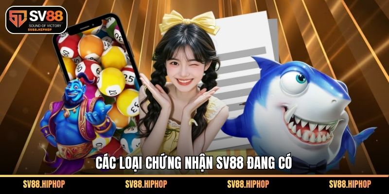 Các loại chứng nhận SV88 đang có